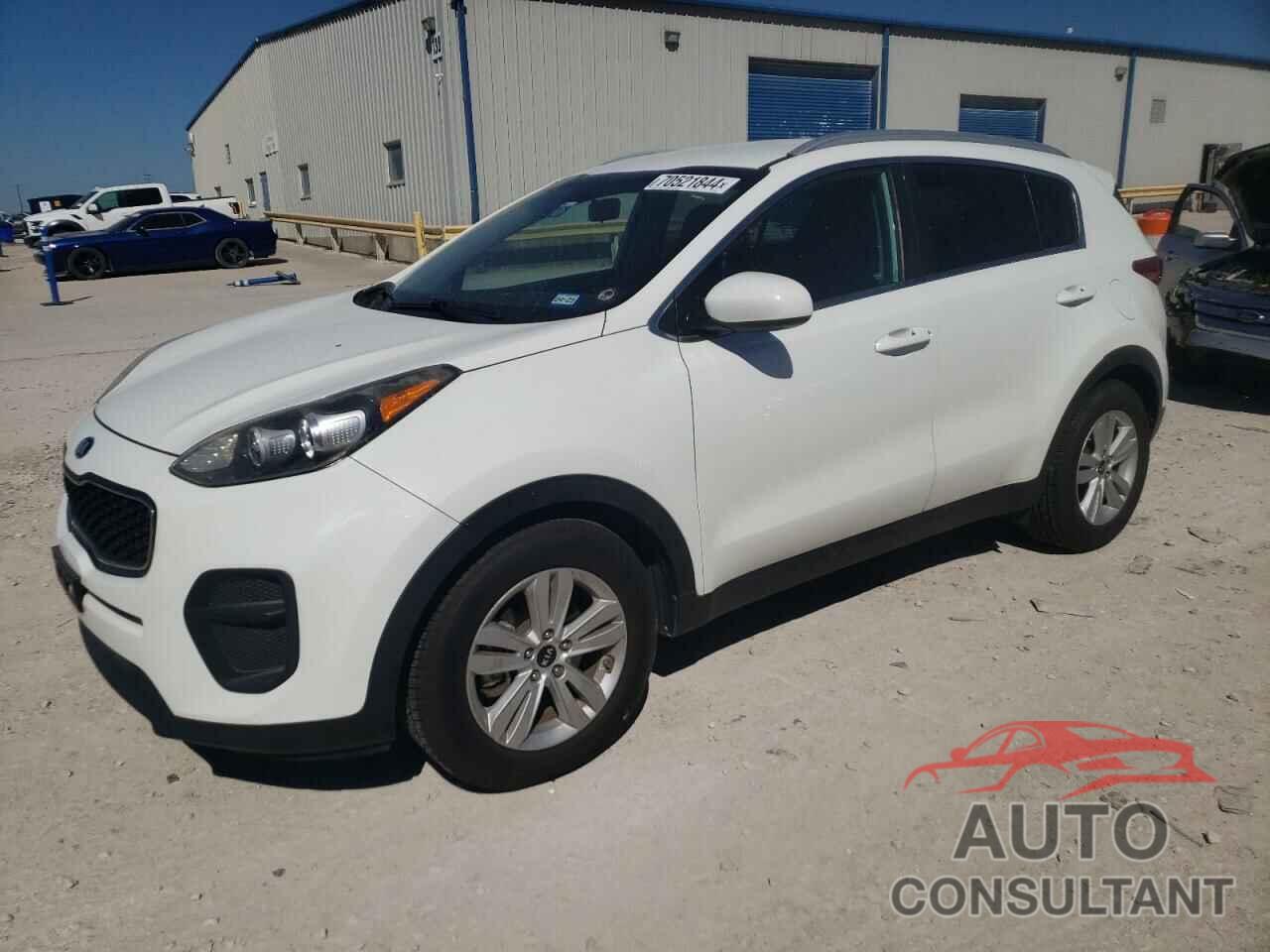 KIA SPORTAGE 2017 - KNDPM3AC6H7239665