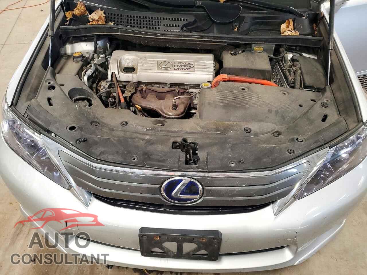LEXUS HS 2010 - JTHBB1BAXA2034448