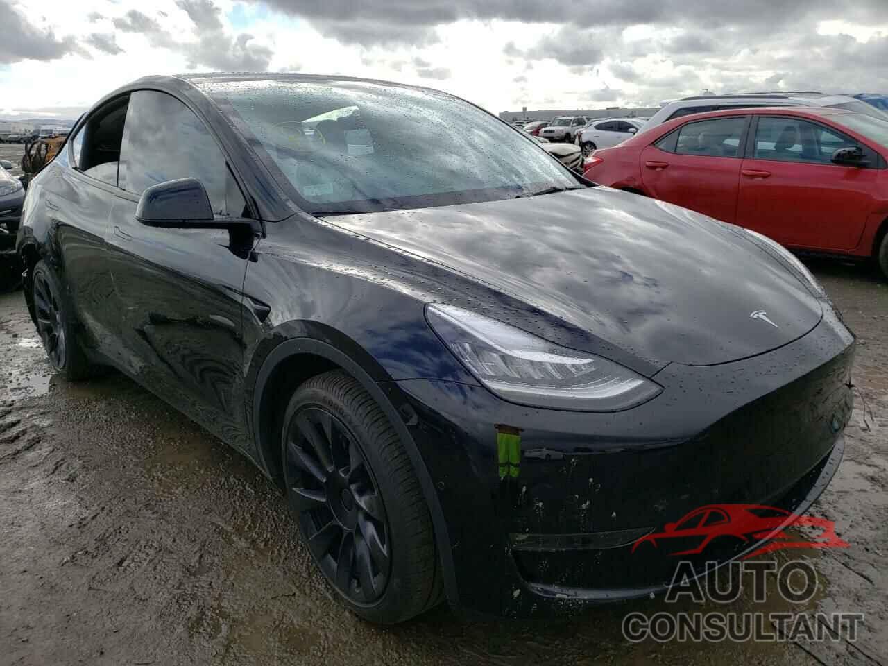 TESLA MODEL Y 2021 - 5YJYGDEE5MF216475
