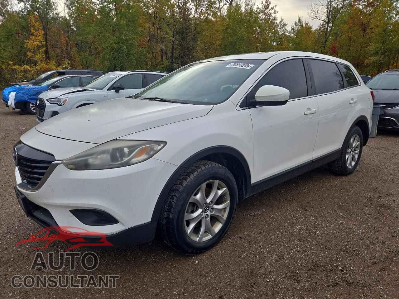 MAZDA CX-9 2014 - JM3TB3CA8E0443427