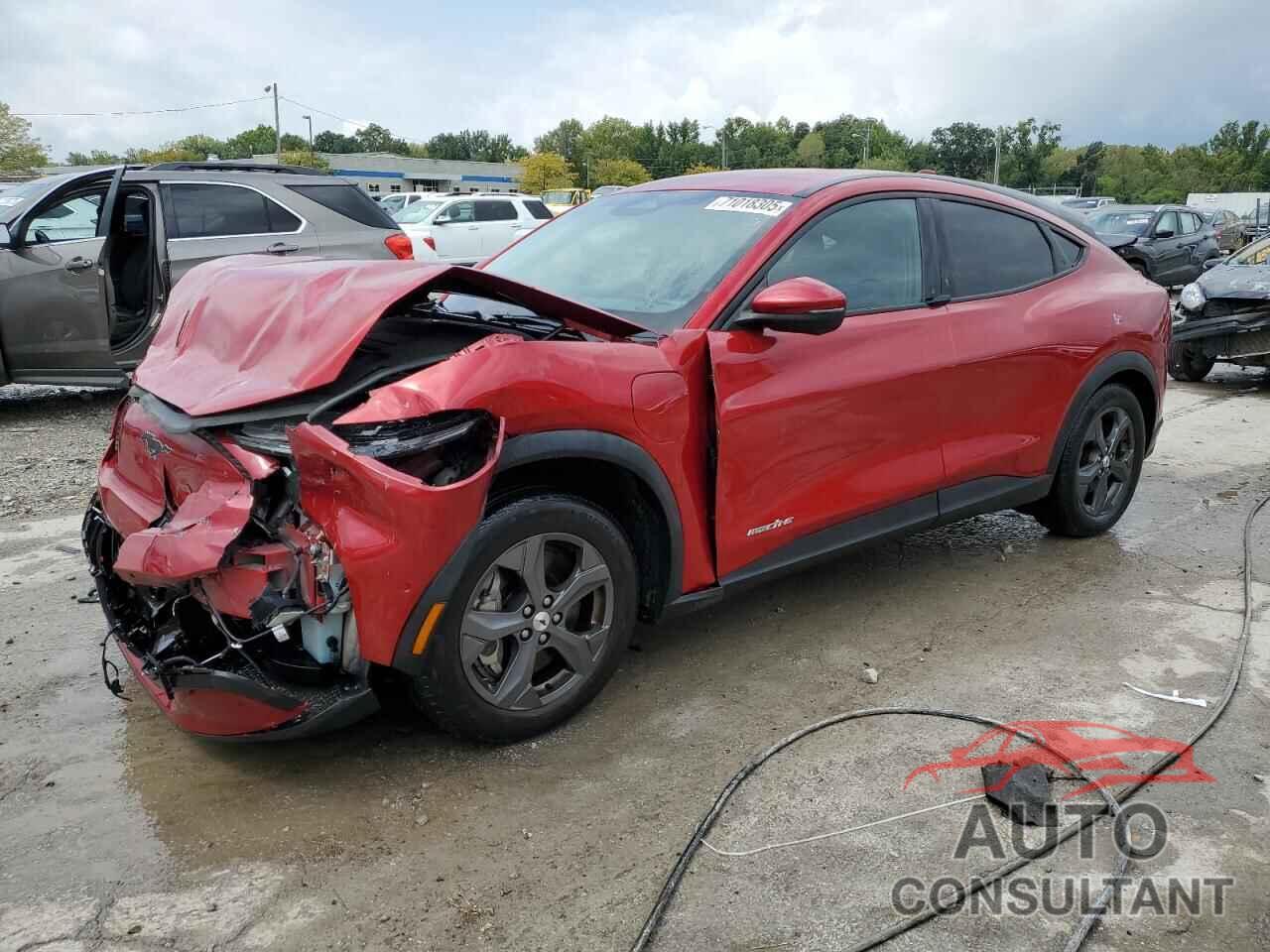 FORD MUSTANG 2021 - 3FMTK1RM4MMA30135