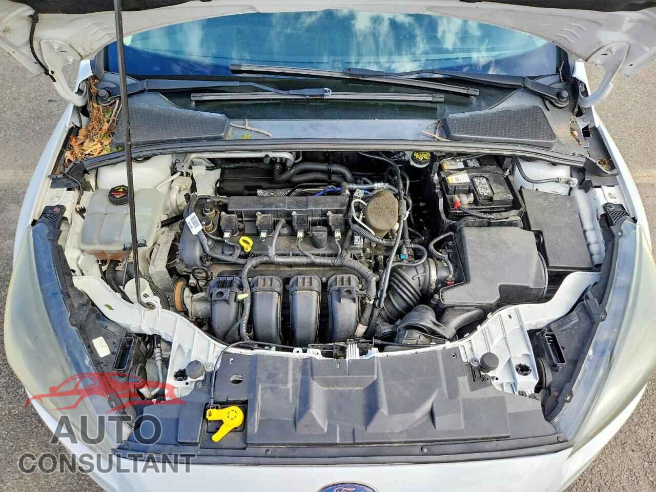 FORD FOCUS 2016 - 1FADP3F21GL223654