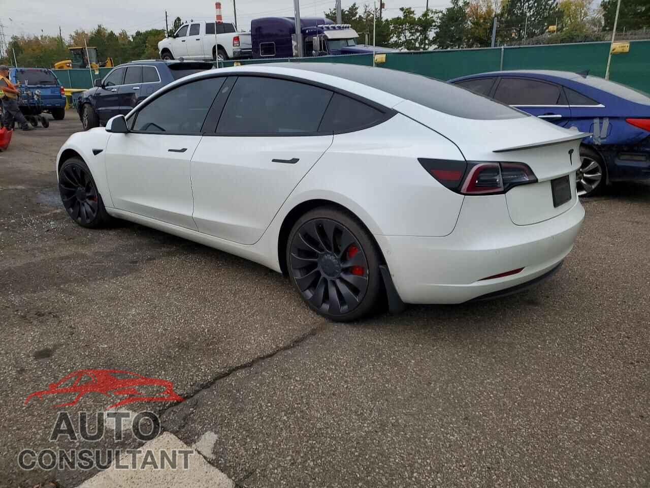 TESLA MODEL 3 2021 - 5YJ3E1EC3MF095989