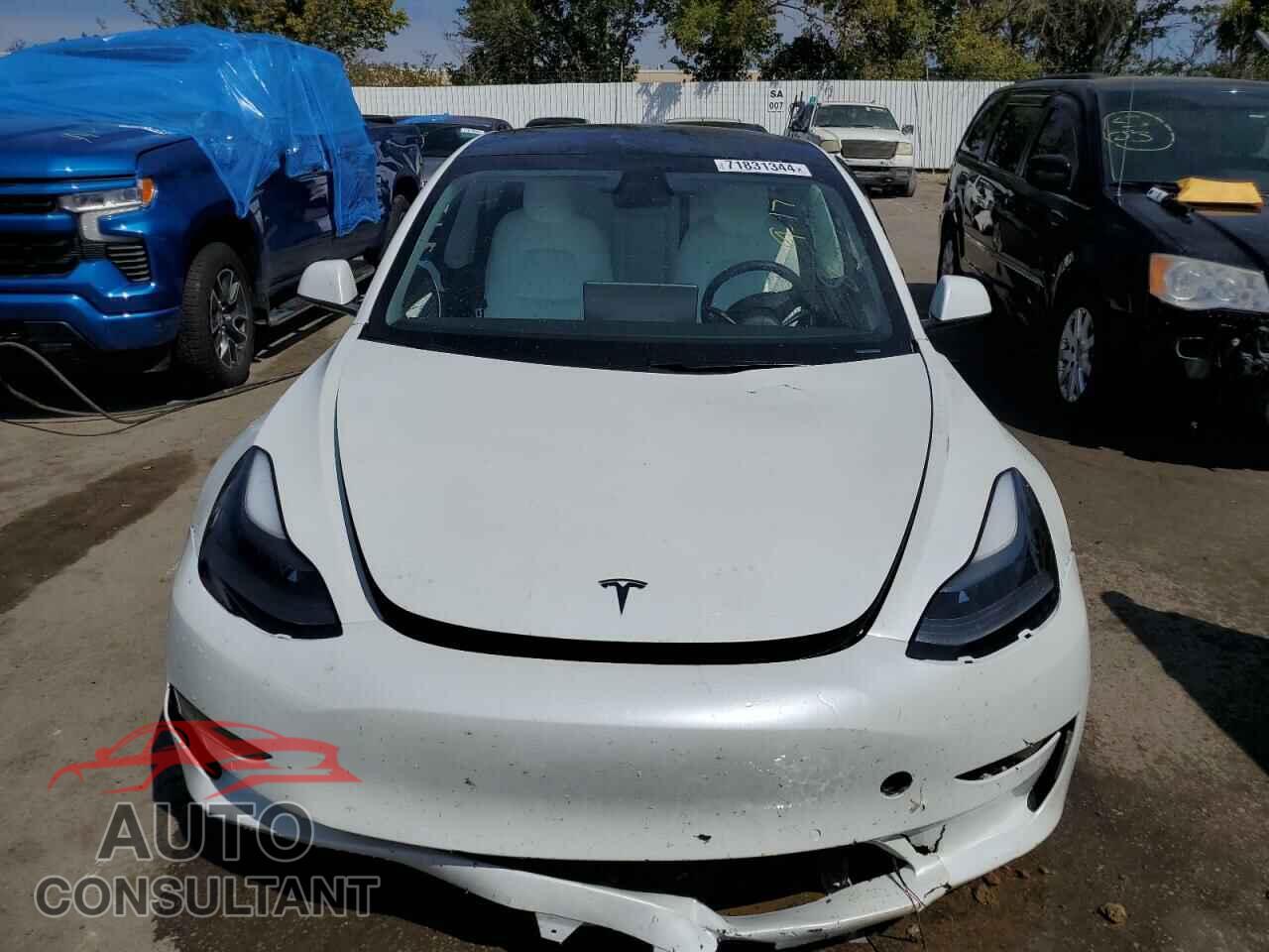 TESLA MODEL 3 2021 - 5YJ3E1EB0MF980805