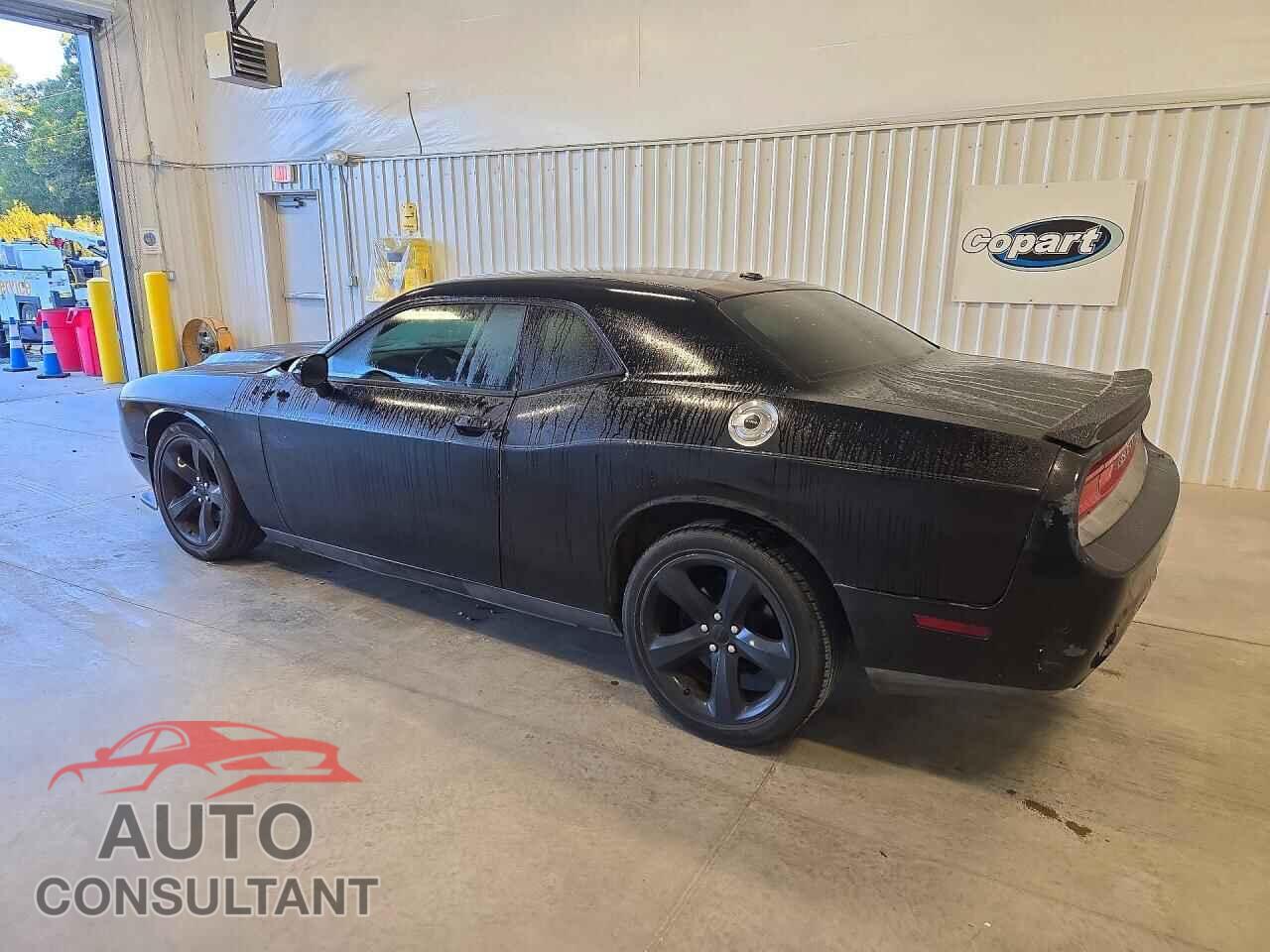 DODGE CHALLENGER 2014 - 2C3CDYAG0EH205160