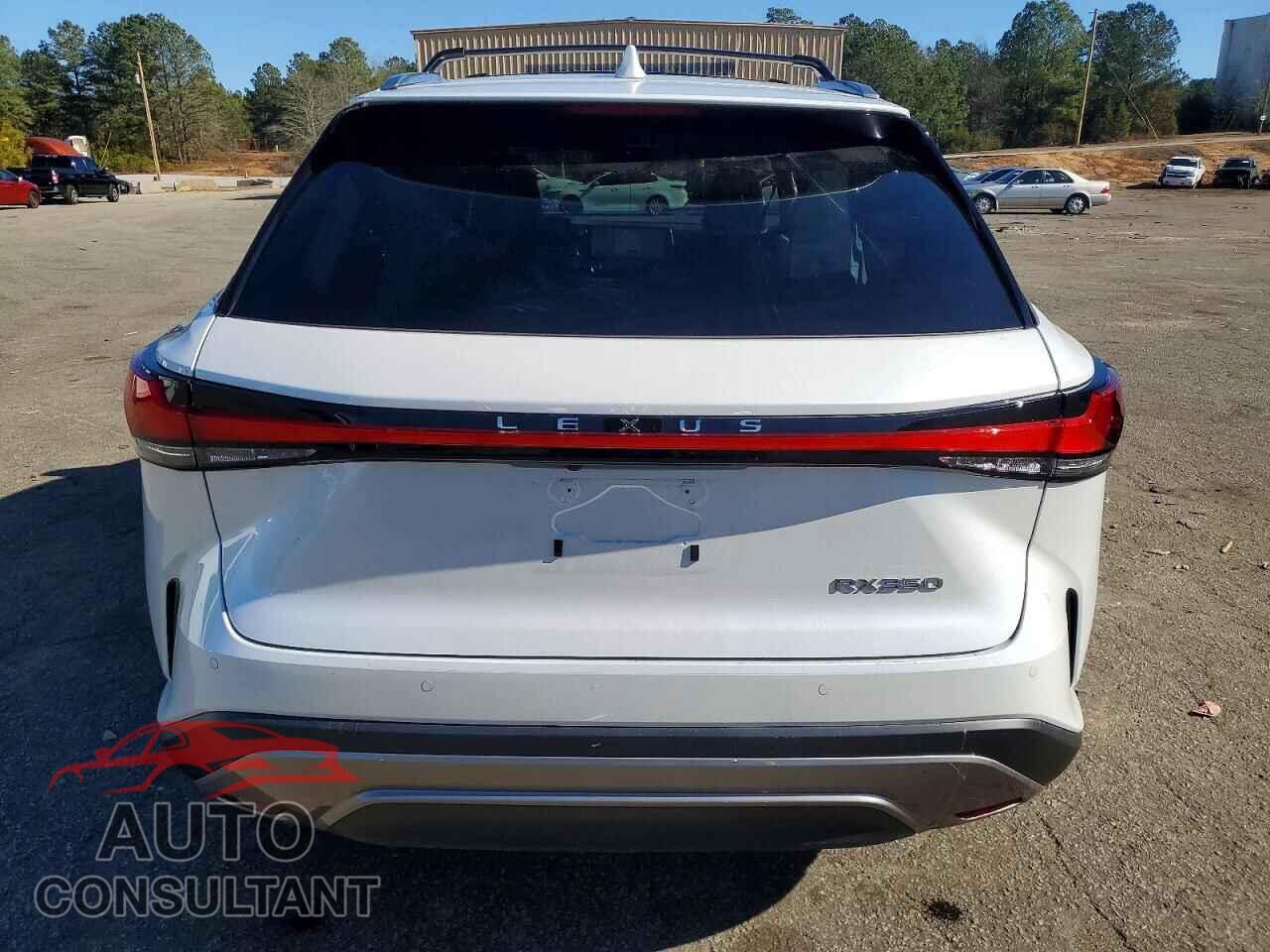 LEXUS RX350 2024 - 2T2BAMBA8RC044801