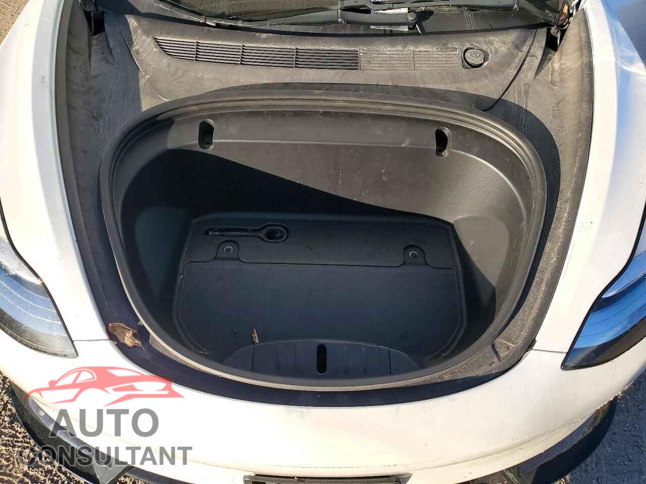 TESLA MODEL 3 2020 - 5YJ3E1EA1LF626099