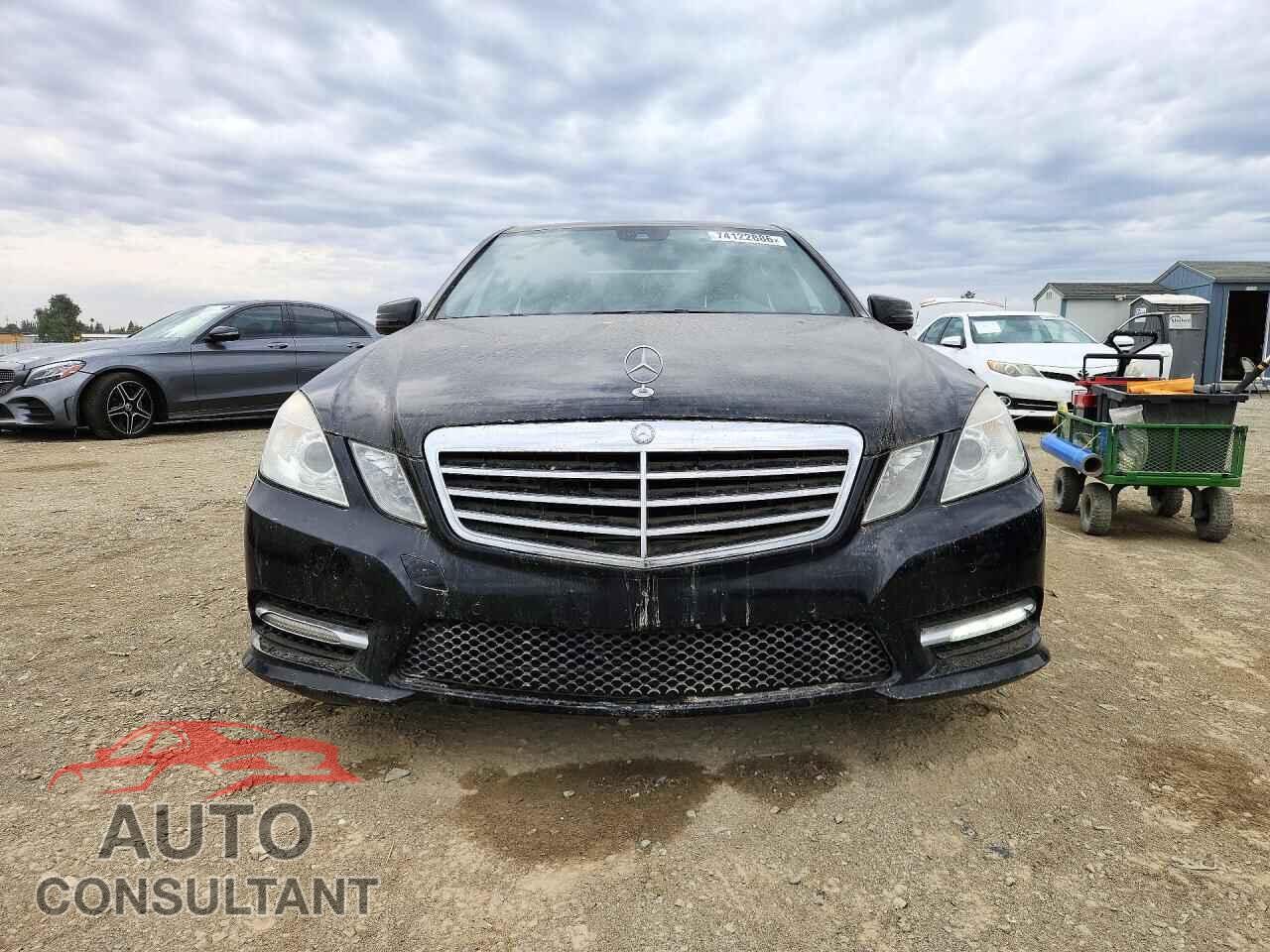 MERCEDES-BENZ E-CLASS 2012 - WDDHF2EB5CA543291