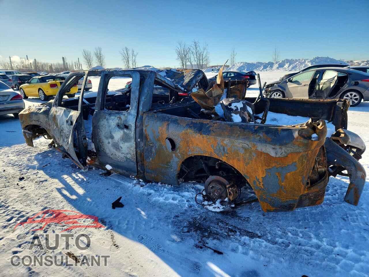 DODGE All Models 2010 - 1D7RV1GT9AS242229