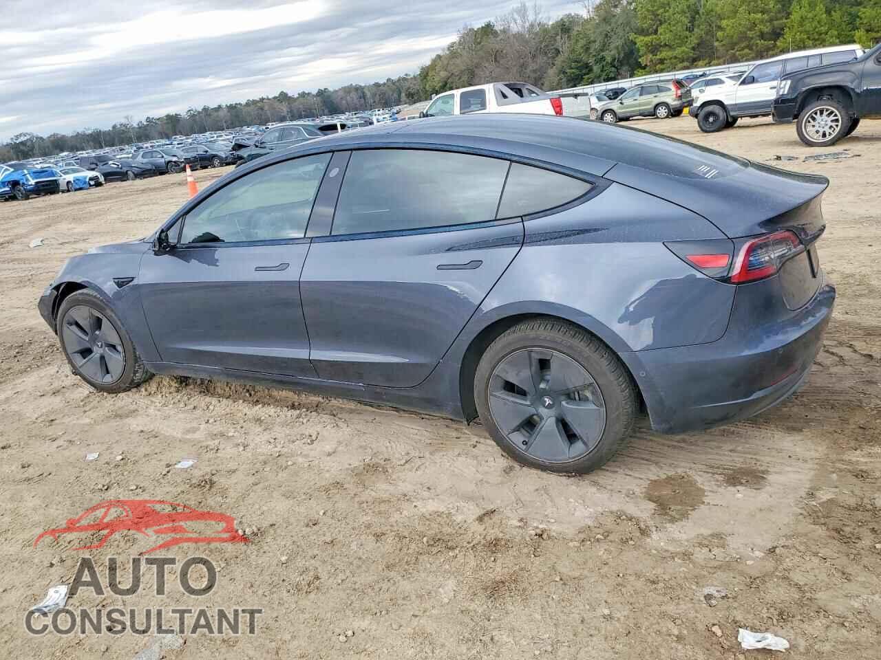 TESLA MODEL 3 2021 - 5YJ3E1EA1MF955659