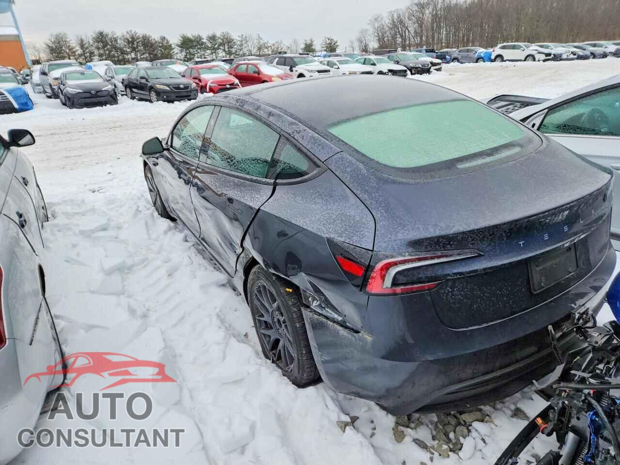 TESLA MODEL 3 2024 - 5YJ3E1EA4RF740932