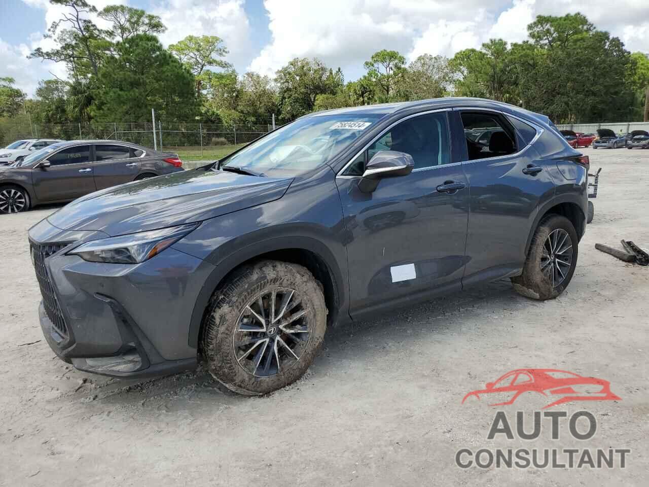 LEXUS NX 250 PRE 2025 - 2T2GDCAZXSC016387