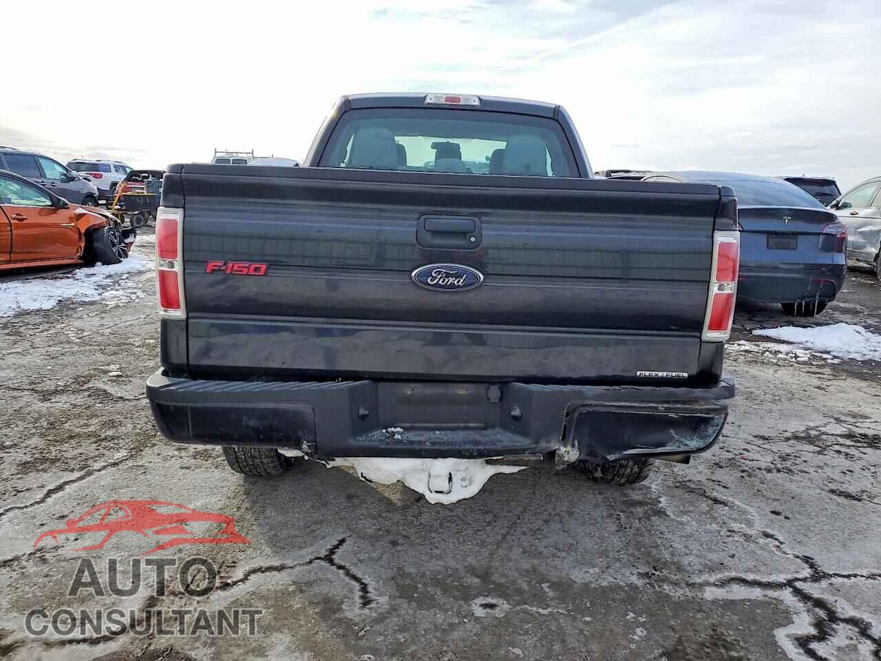 FORD F-150 2013 - 1FTFX1EF7DFC45972
