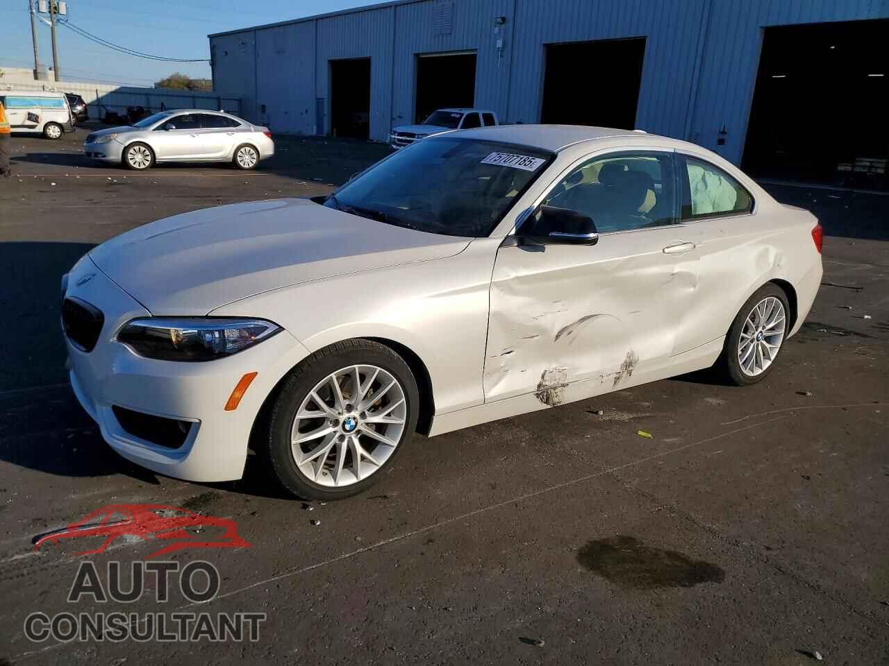 BMW 2 SERIES 2014 - WBA1F5C55EV246296