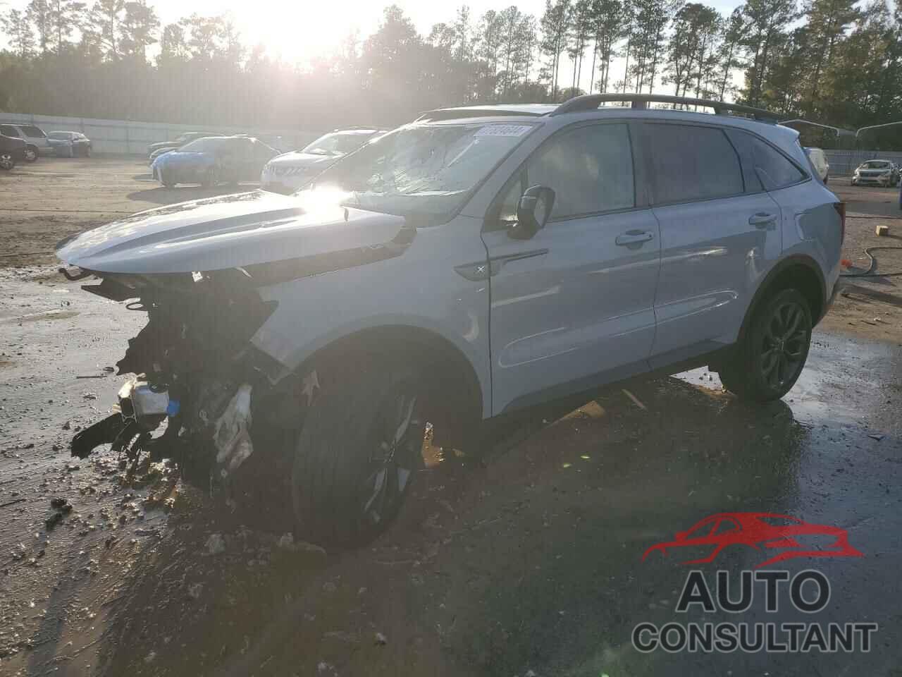 KIA SORENTO 2023 - 5XYRKDLF7PG177075