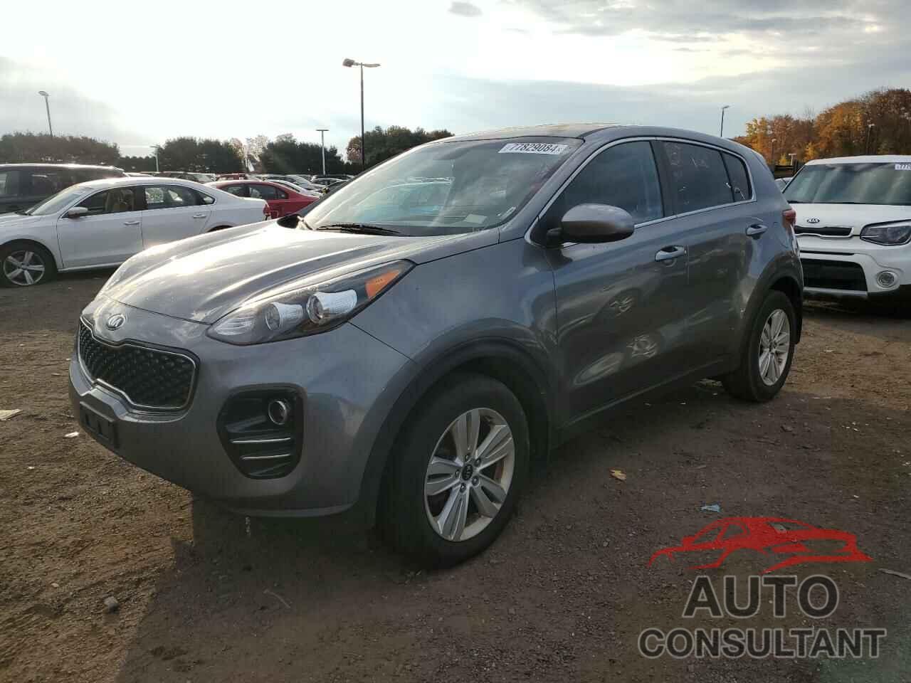 KIA SPORTAGE 2017 - KNDPMCAC9H7200729