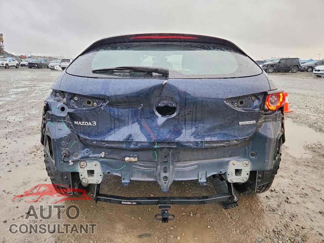 MAZDA 3 2019 - JM1BPAJM5K1132194