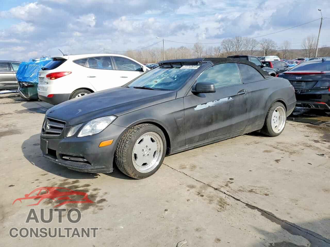 MERCEDES-BENZ E-CLASS 2012 - WDDKK5KFXCF176966
