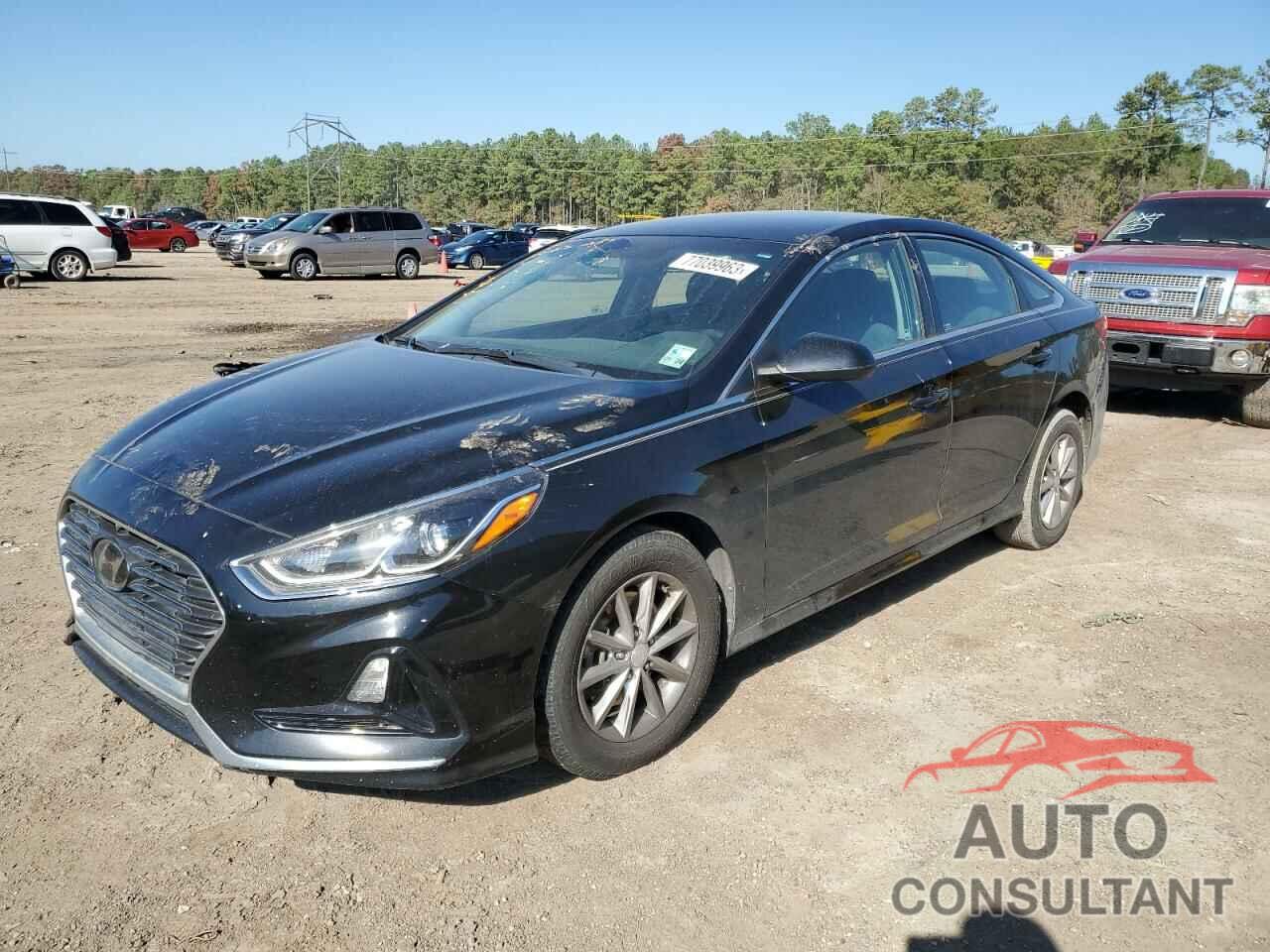 HYUNDAI SONATA 2019 - 5NPE24AFXKH758279