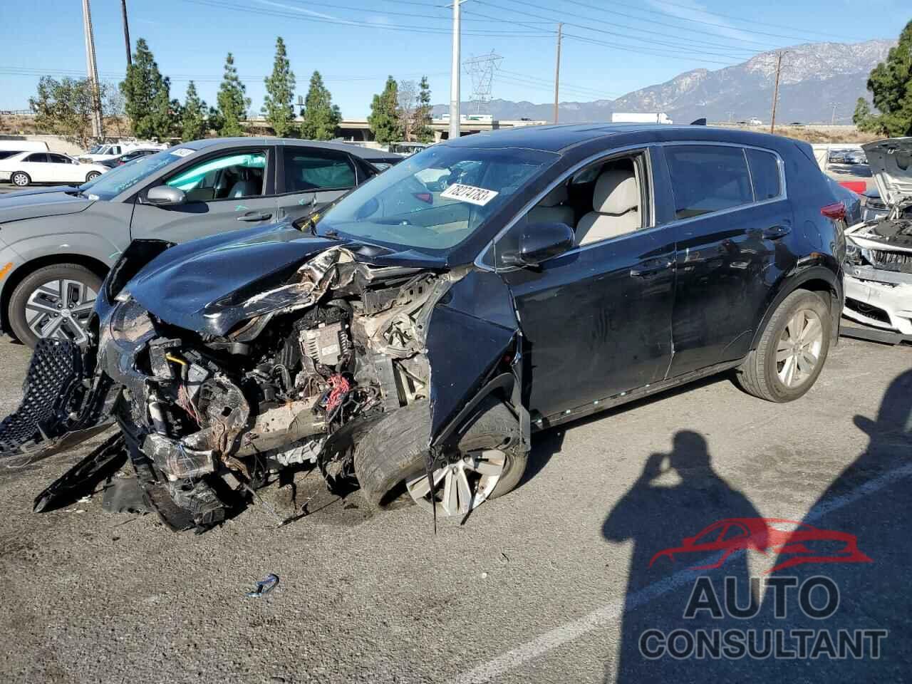 KIA SPORTAGE 2017 - KNDPM3AC6H7233901