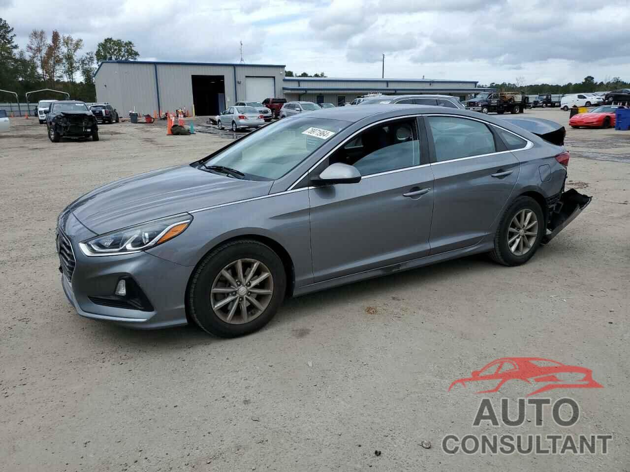 HYUNDAI SONATA 2019 - 5NPE24AF4KH784361