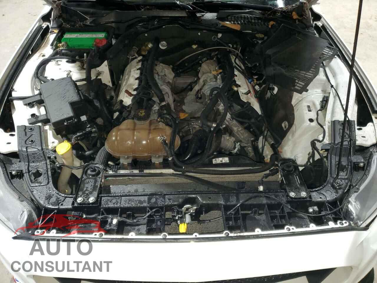 FORD MUSTANG 2015 - 1FA6P8CF5F5353727