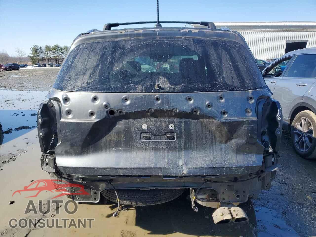 HYUNDAI PALISADE 2020 - KM8R4DHE6LU116430