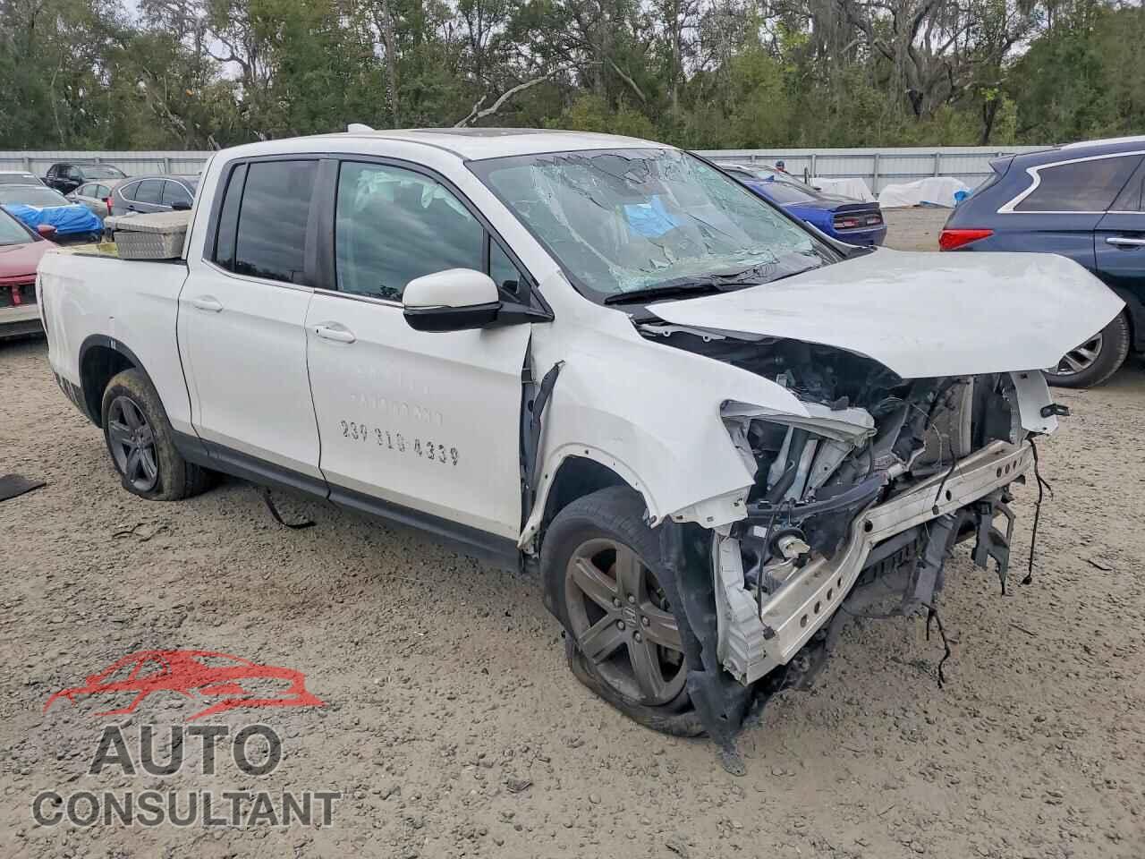 HONDA RIDGELINE 2021 - 5FPYK3F58MB016267