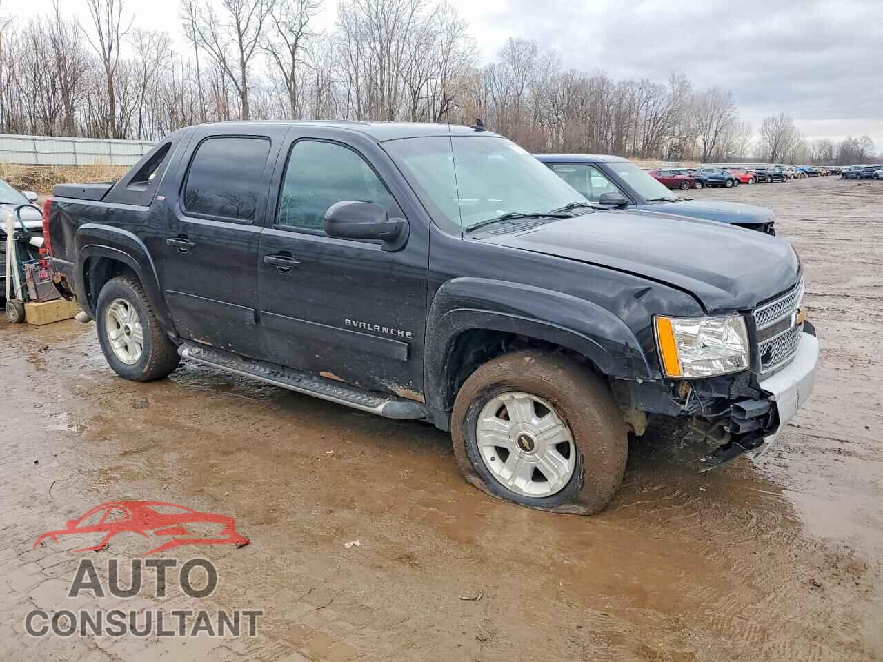 CHEVROLET AVALANCHE 2010 - 3GNVKFE07AG176365