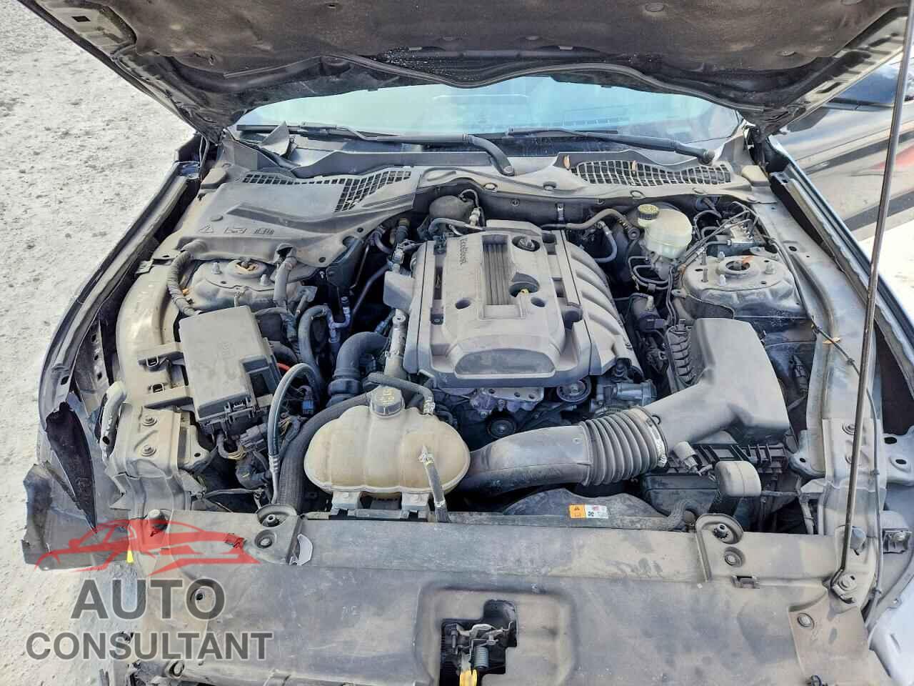 FORD MUSTANG 2017 - 1FA6P8TH3H5205340