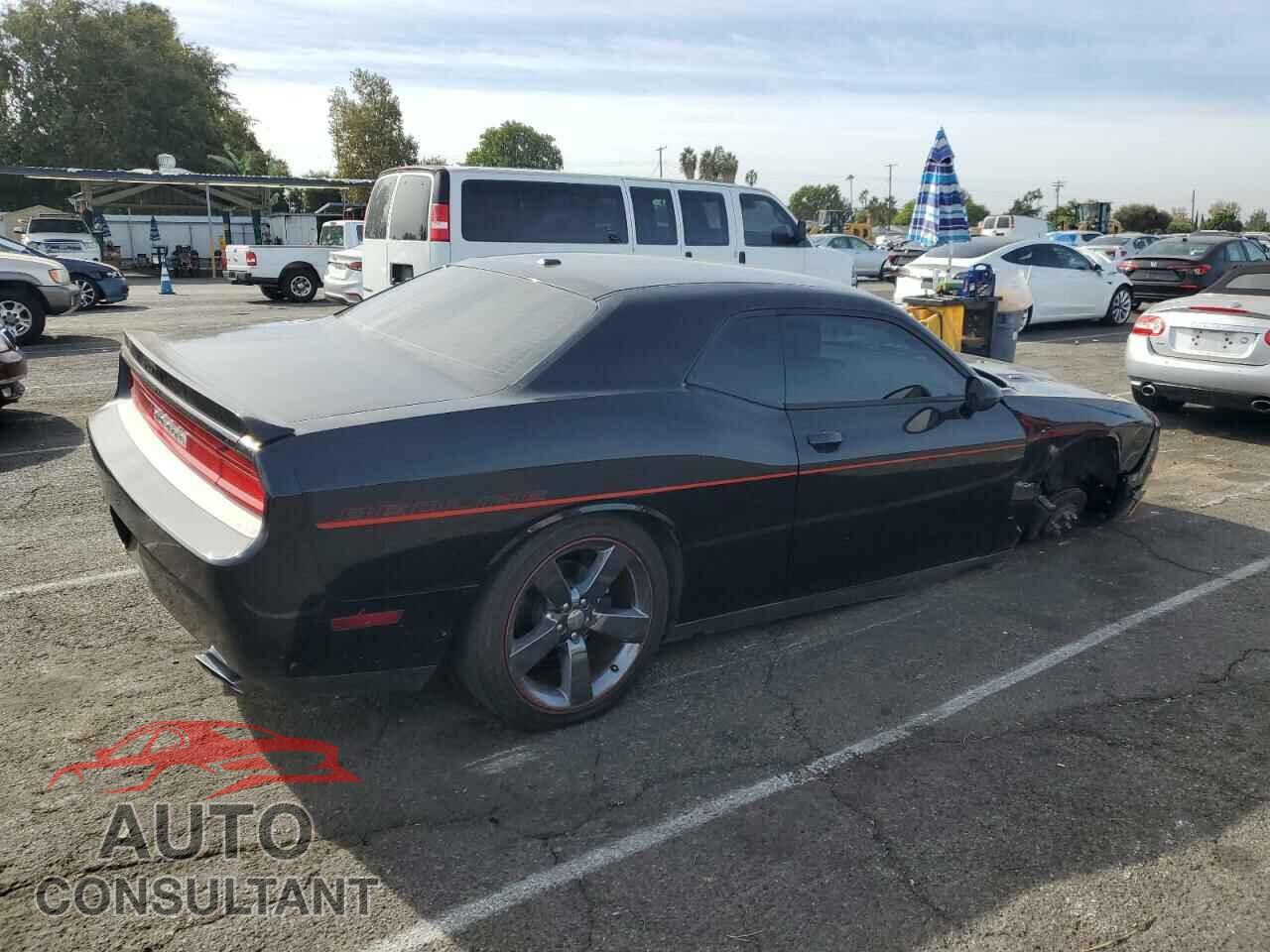 DODGE CHALLENGER 2013 - 2C3CDYBT8DH729215