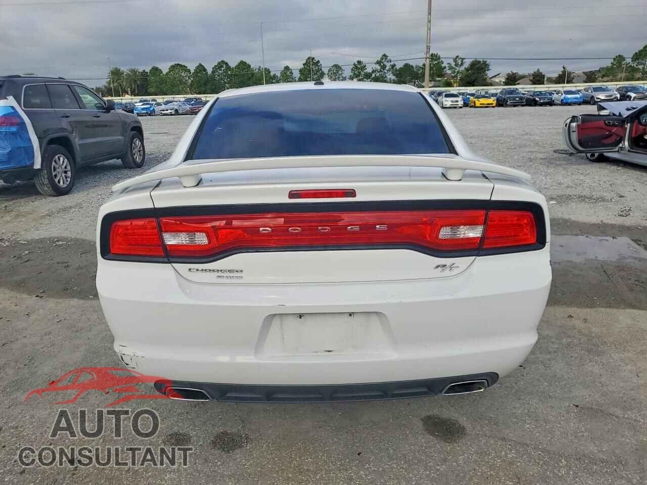 DODGE CHARGER 2014 - 2C3CDXDT3EH335159