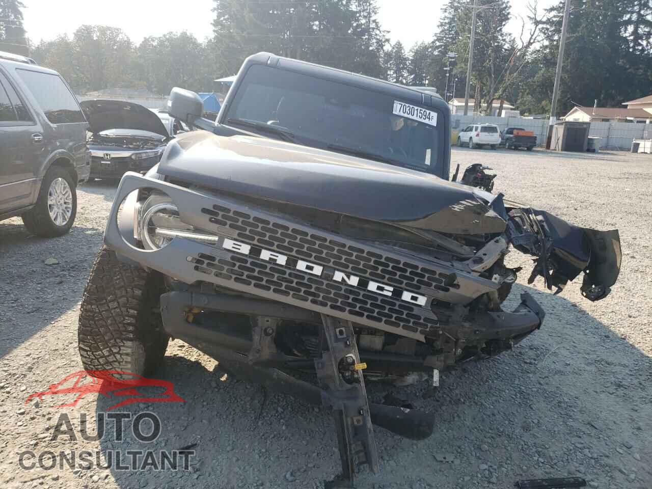 FORD BRONCO BAD 2024 - 1FMEE9BP7RLA04401