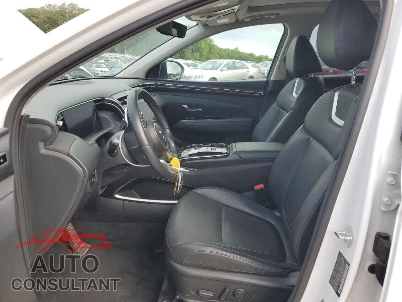 HYUNDAI TUCSON 2023 - KM8JECA1XPU102709