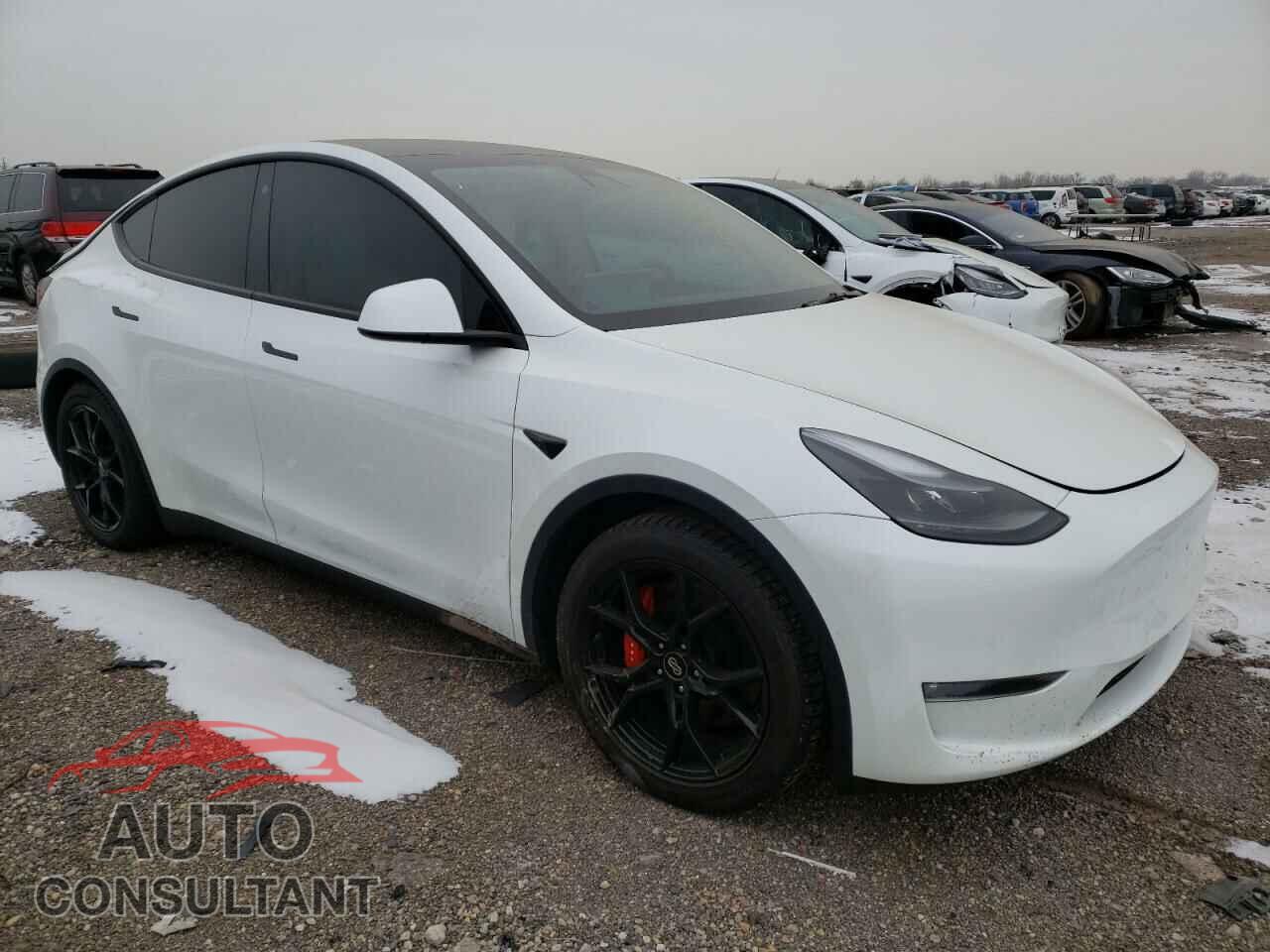 TESLA MODEL Y 2021 - 5YJYGDEF1MF182754