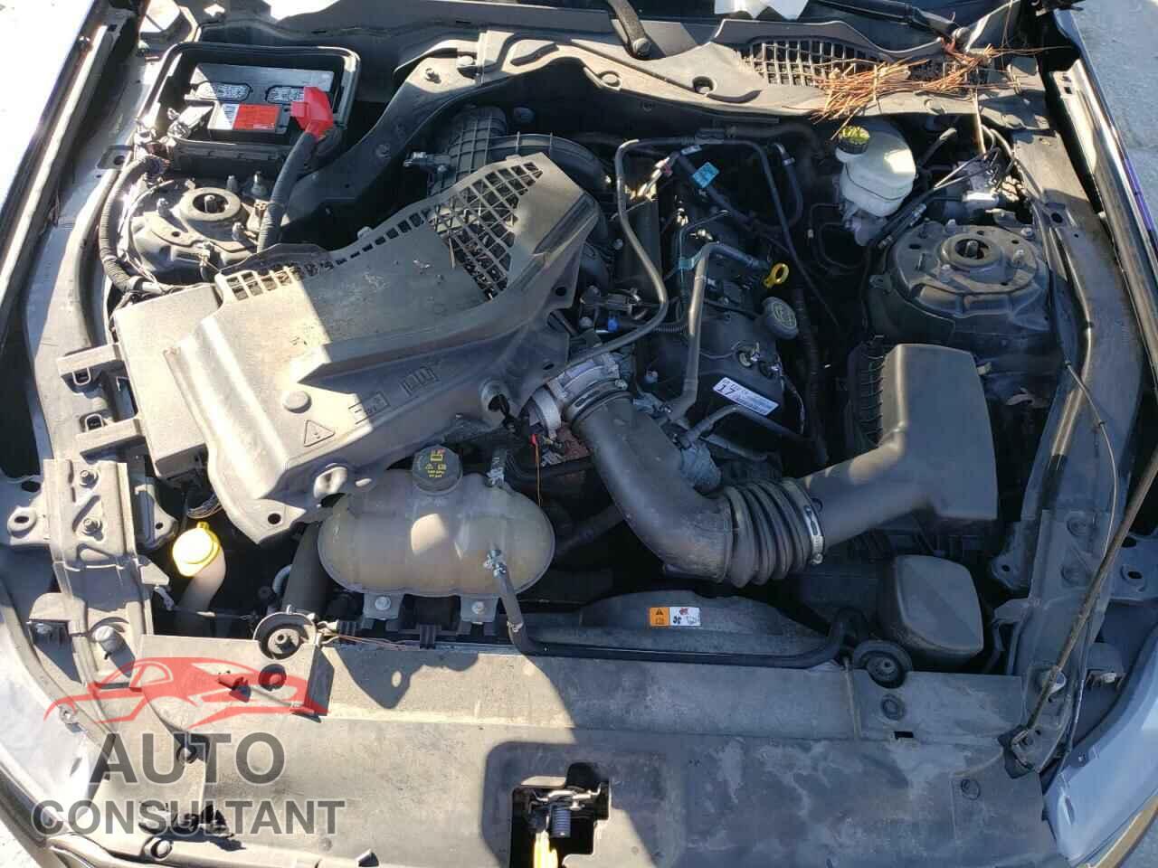 FORD MUSTANG 2017 - 1FA6P8AM2H5301895