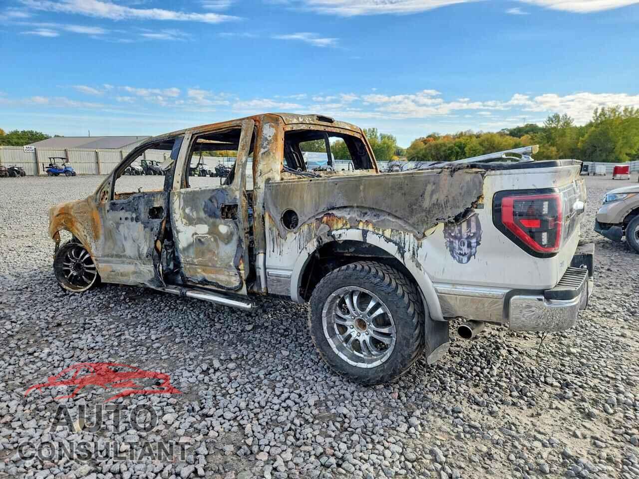 FORD F150 2011 - 1FTFW1EF8BFA73791