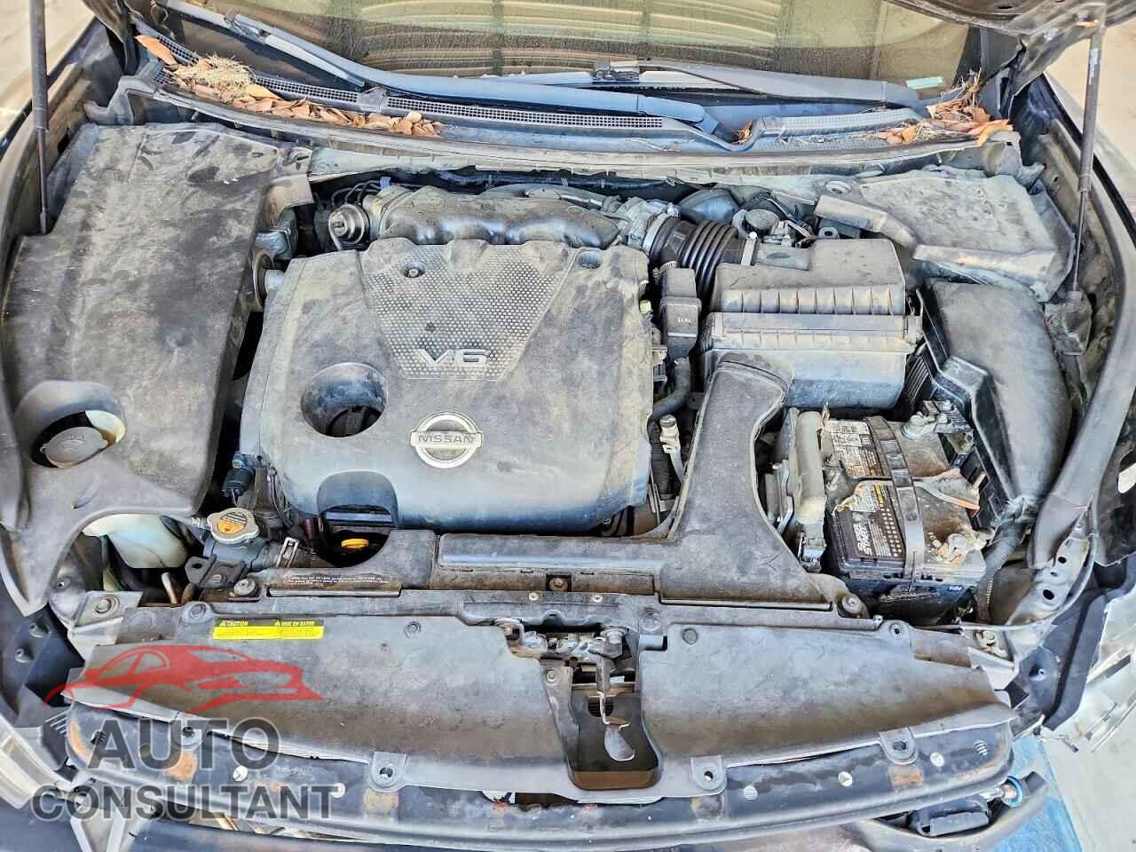 NISSAN MAXIMA 2011 - 1N4AA5AP2BC856286