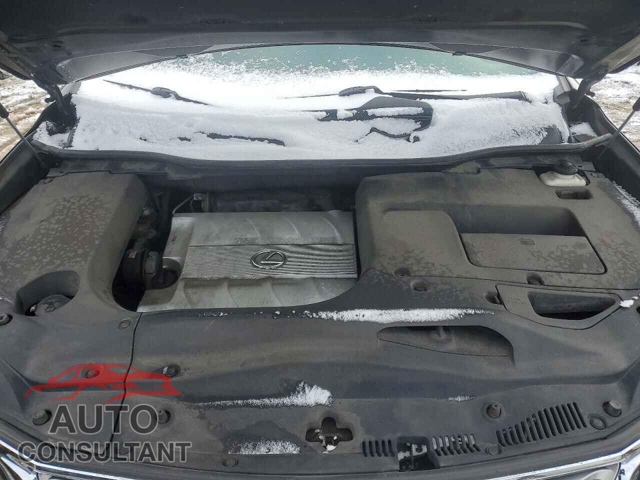 LEXUS RX350 2013 - 2T2BK1BA6DC216067