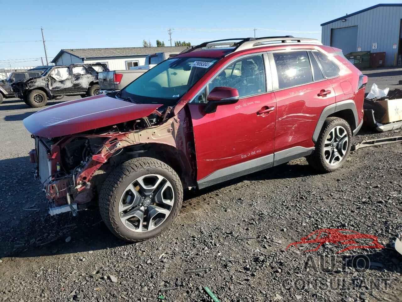 TOYOTA RAV4 2019 - 2T3J1RFV5KC029759