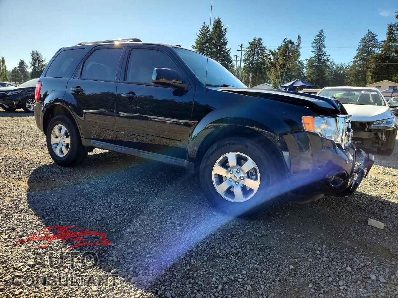 FORD ESCAPE 2010 - 1FMCU0EG1AKC16500