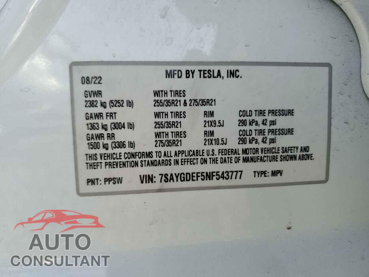 TESLA MODEL Y 2022 - 7SAYGDEF5NF543777