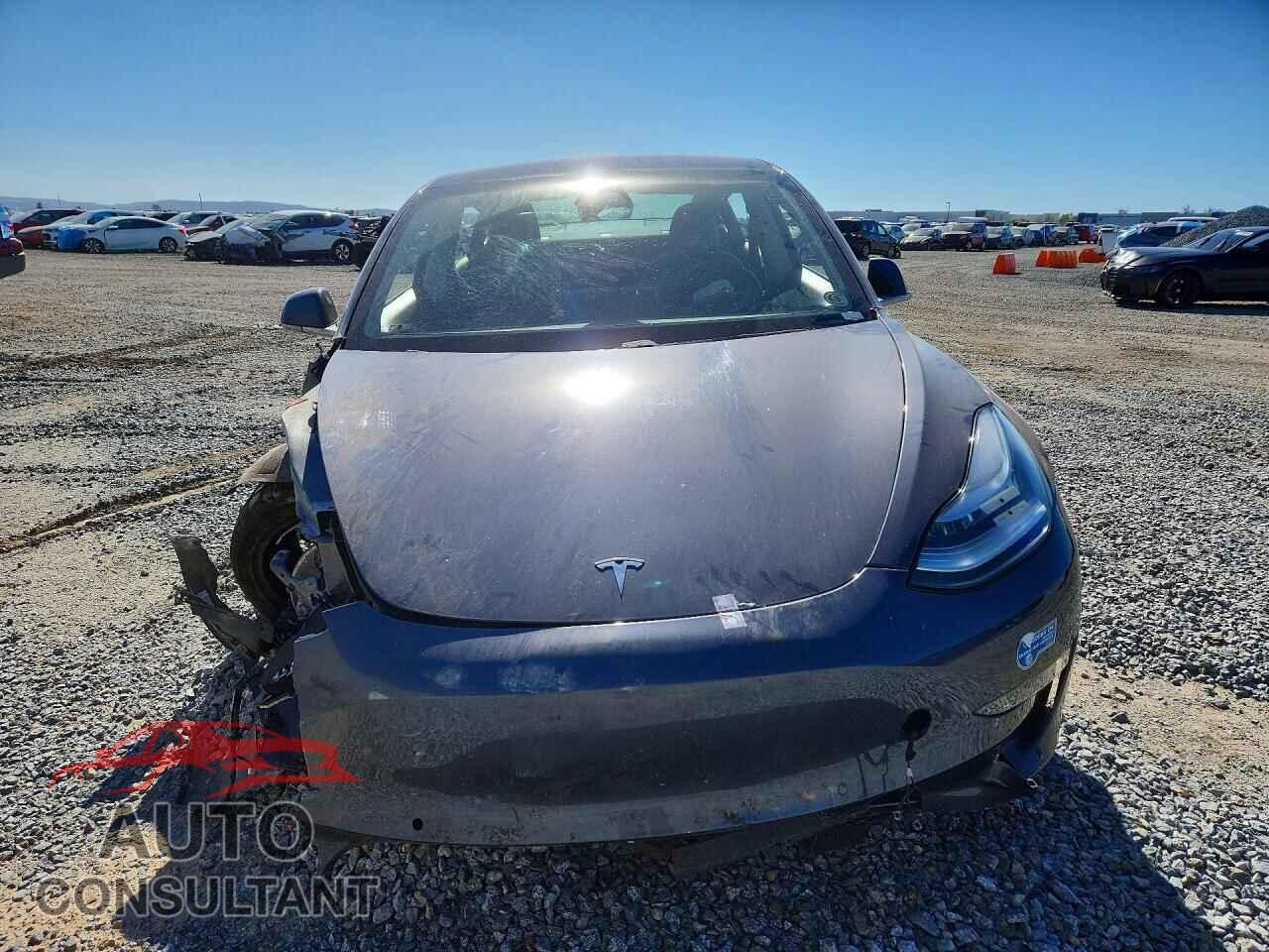 TESLA MODEL 3 2020 - 5YJ3E1EA0LF804486