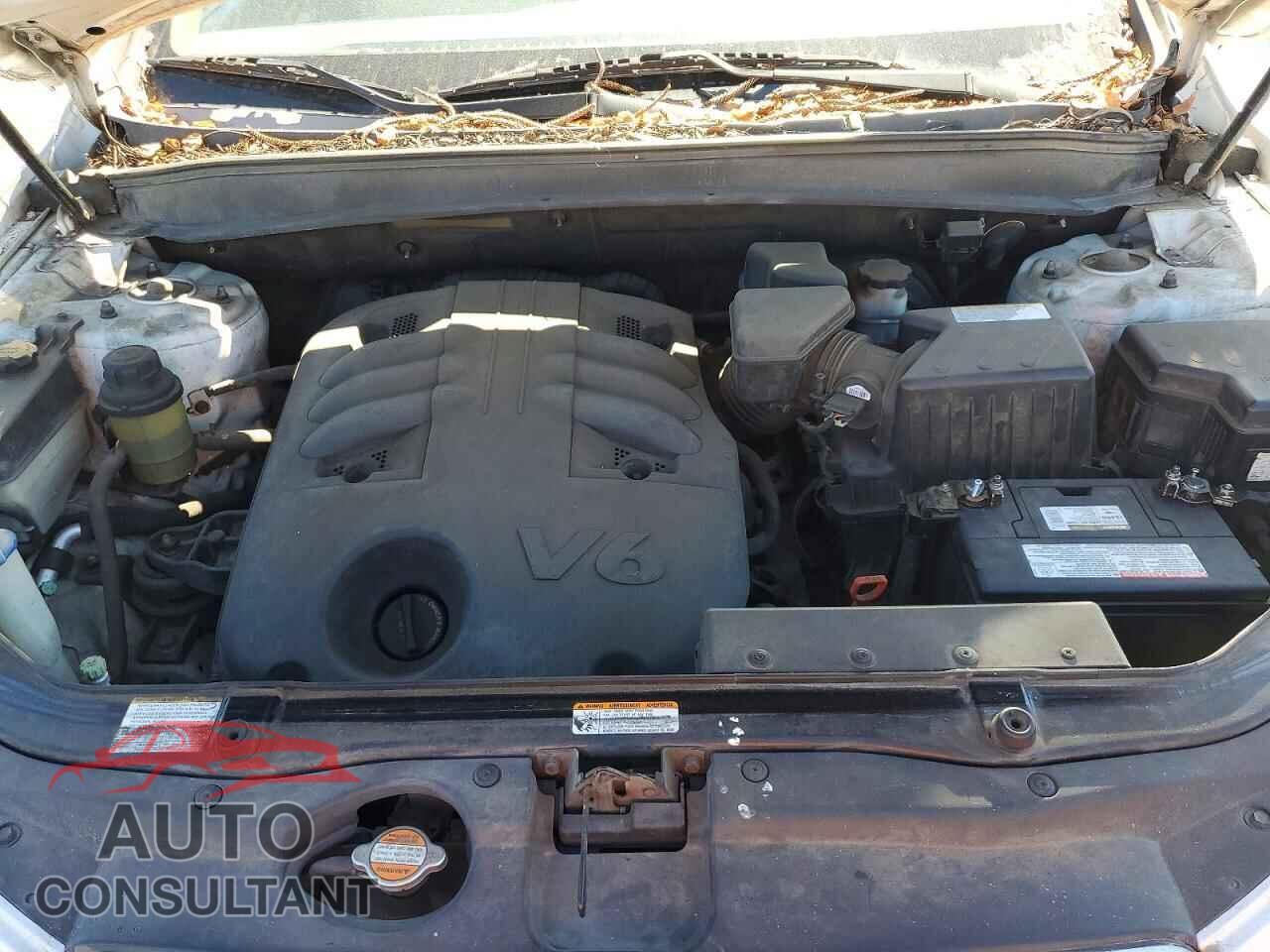 HYUNDAI SANTA FE 2009 - 5NMSH13E49H257478