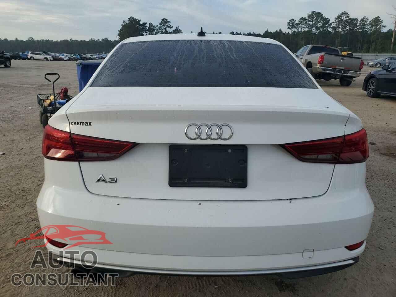 AUDI A3 2019 - WAUAUGFF4K1009565