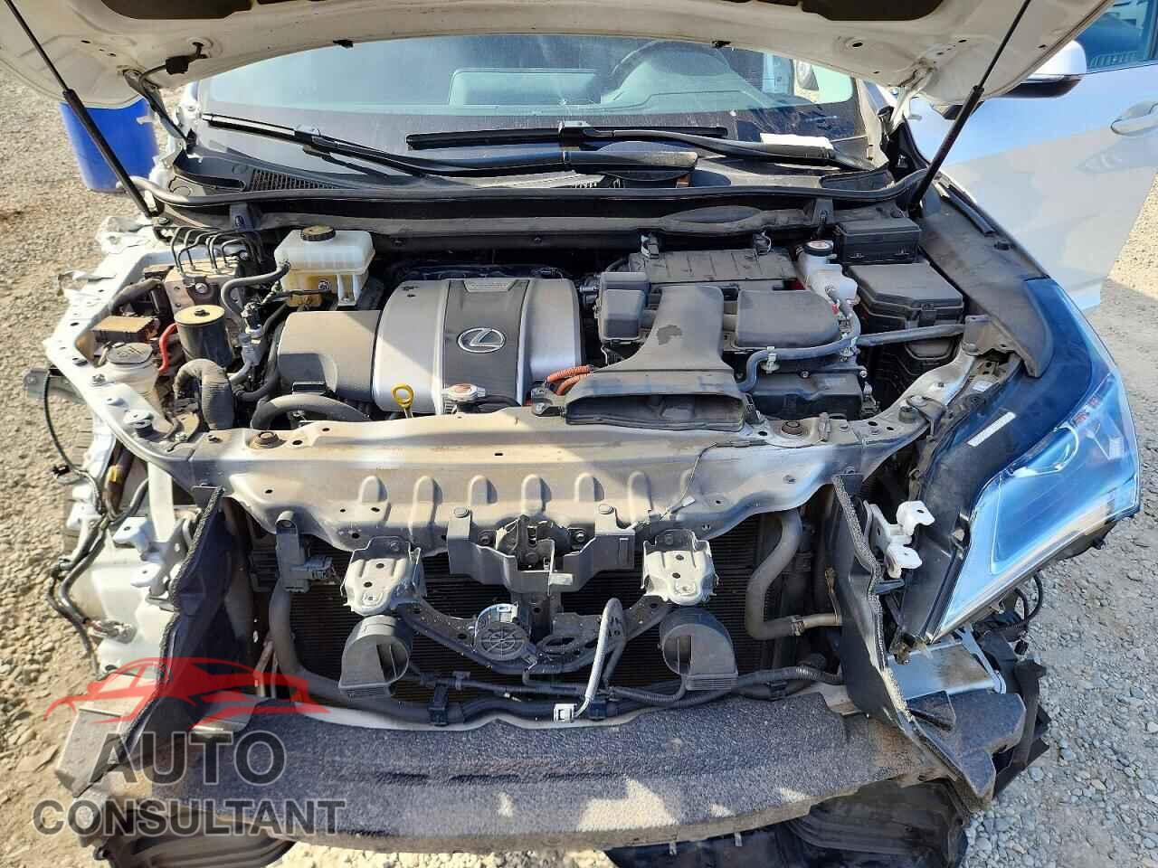 LEXUS RX450 2019 - 2T2BGMCAXKC030904