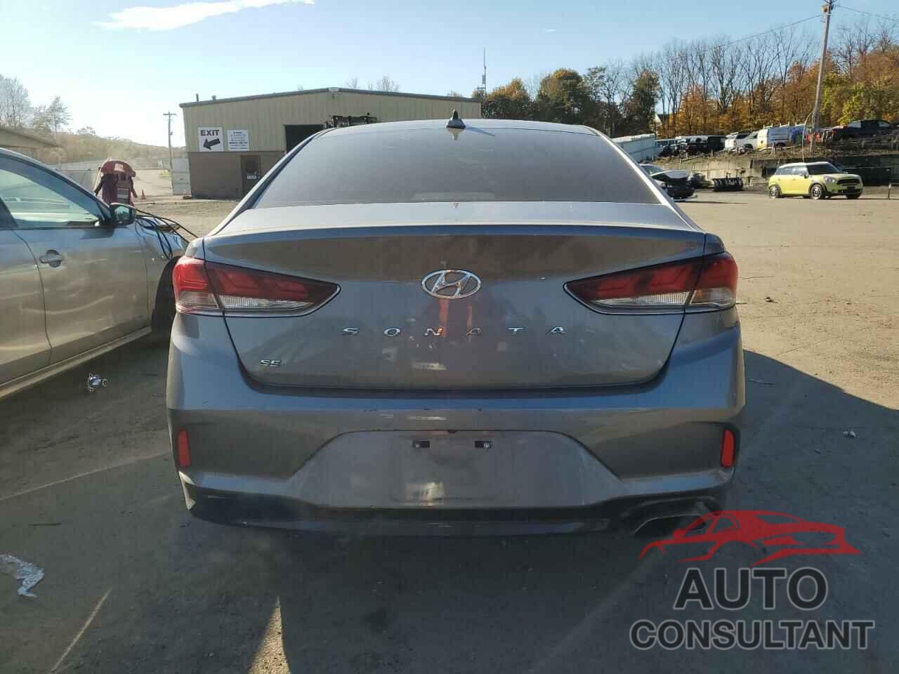 HYUNDAI SONATA 2024 - 5NPE24AF1KH745677