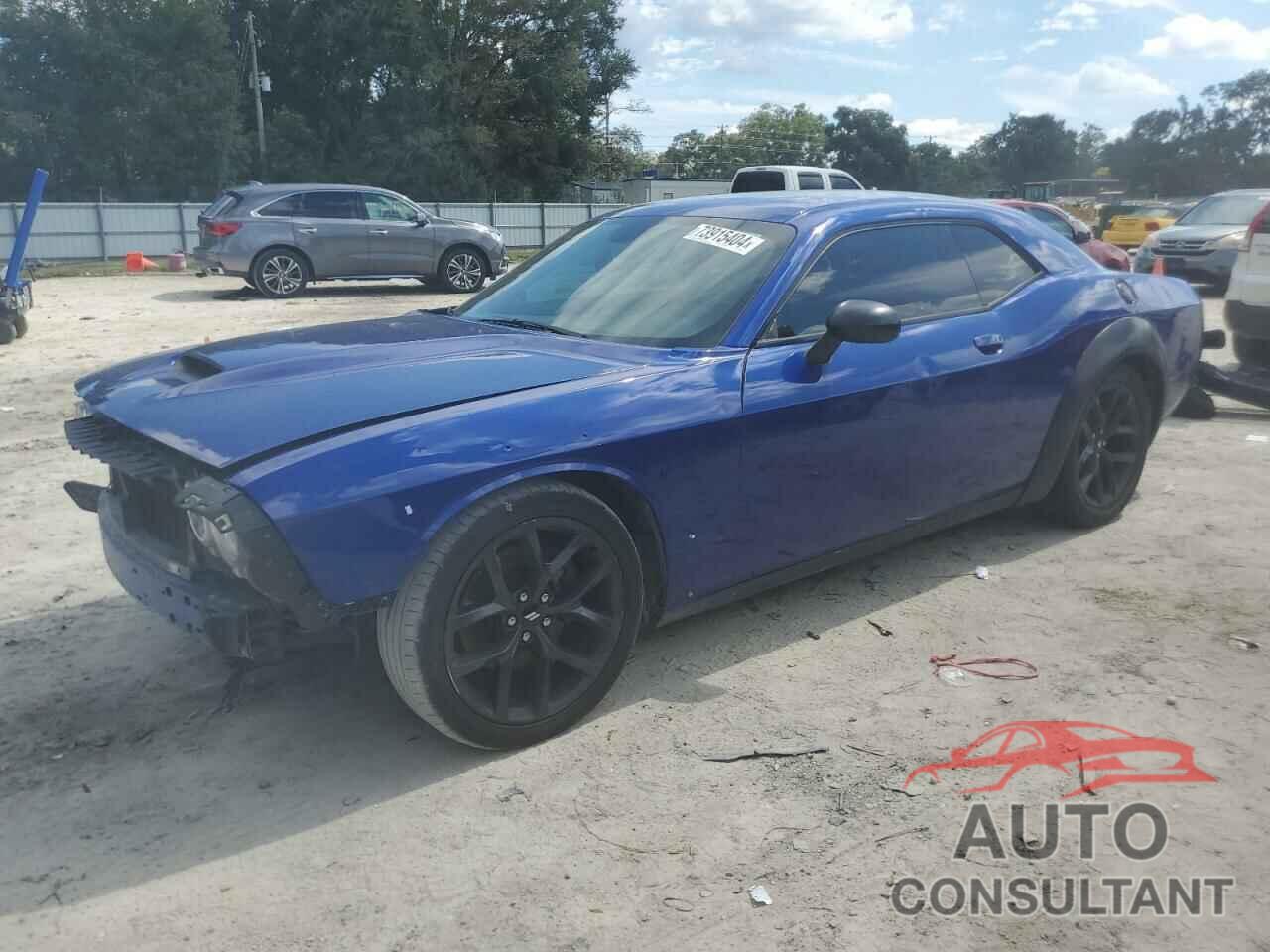 DODGE CHALLENGER 2019 - 2C3CDZBT1KH547228