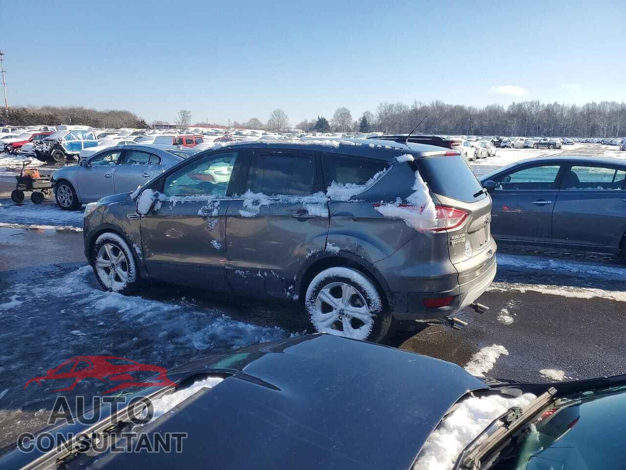 FORD ESCAPE 2014 - 1FMCU0GX9EUD92265