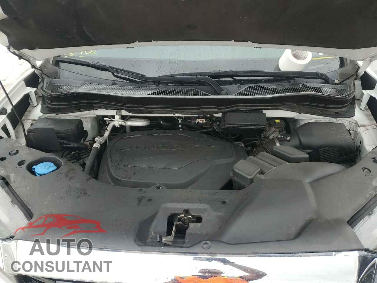 HONDA RIDGELINE 2021 - 5FPYK3F75MB006538